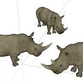 Modern Rhino 3d model