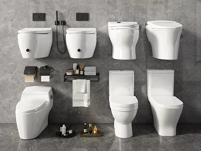 Different Modern Toilet Styles In Bathroom With Wall Mounted Floor Standing Units And Accessories 3d model