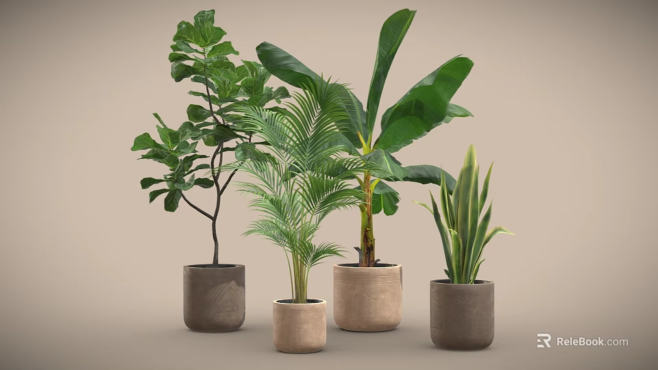 Various Leafy Potted Plants in Textured Ceramic Pots on Neutral Background 3d model 