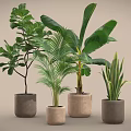 Various Leafy Potted Plants in Textured Ceramic Pots on Neutral Background