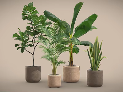 Various Leafy Potted Plants in Textured Ceramic Pots on Neutral Background 3d model