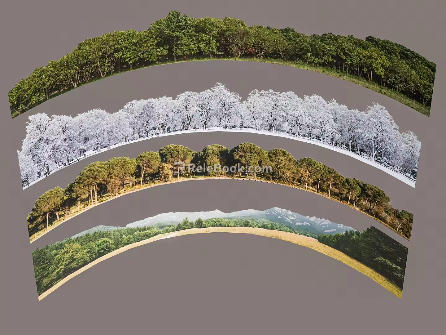 2D background forest background forest mountain range ball sky background forest perspective forest ring forest background 3d model