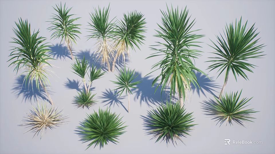 Green Agave Plants in Various Sizes and Different Forms 3D Rendered on Gray Background 3d model