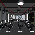 UFC Themed Fitness Gym Interior With Camo Punching Bags And Wooden Floors