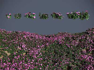 Multiple Green Shrubs With Blooming Purple Flowers In Garden Landscape And Lush Foliage 3d model