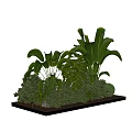 Lush Green Shrubs With Tropical Plants And Large Leaves On Wooden Platform