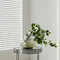 Glass Vase With Green Leaves And White Flowers On Round Metal Tray By White Blinds