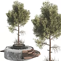 Circular Concrete Tree Planter With Wooden Planks Pebbles And Small Plants Around Tree