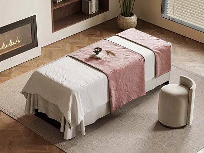Relaxing Treatment Bed With White And Pink Blanket Stool Carpet Fireplace And Bookshelf 3d model