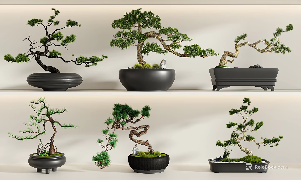 Various Artistically Shaped Bonsai Trees Planted In Black Ceramic Pots 3d model 
