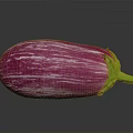 Vibrant Fresh Purple And White Striped Eggplant Isolated On Dark Background