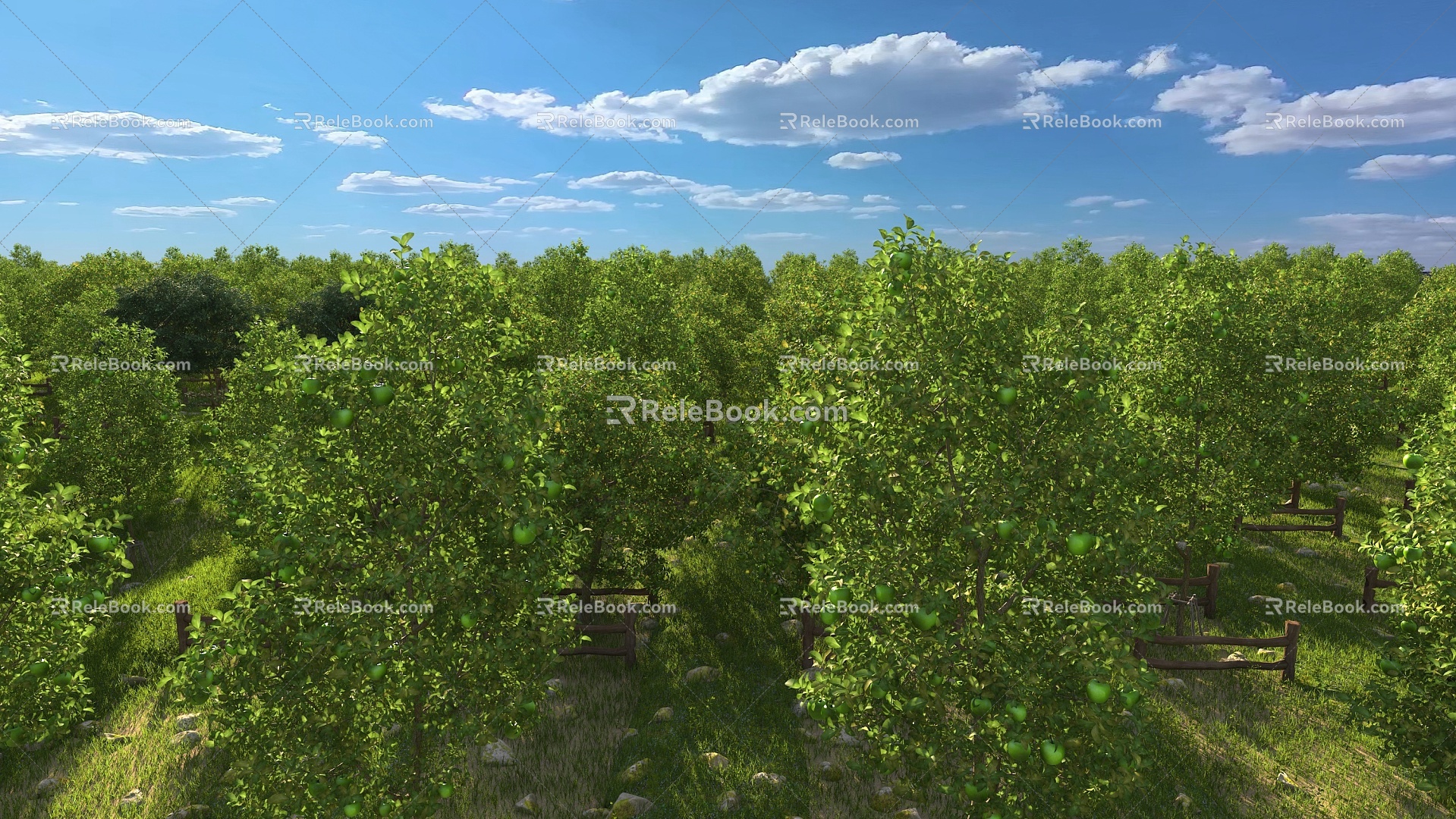 plant fruit tree orchard apple tree 3d model