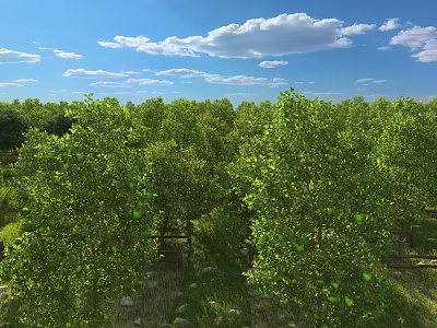 Scenic Green Forest Landscape With Lush Trees Blue Sky And White Clouds 3d model