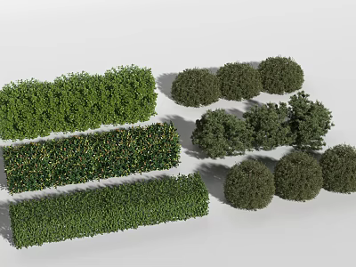 Different Types of Green Shrubs Including Trimmed Hedges and Round Bushes 3d model