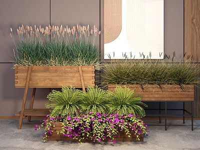 plant potted flower box green plant Pennisetum landscape green plant 3d model