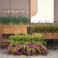 plant potted flower box green plant Pennisetum landscape green plant 3d model