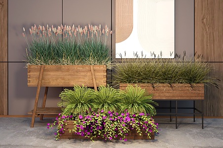 plant potted flower box green plant Pennisetum landscape green plant 3d model