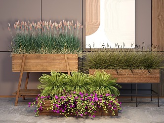 plant potted flower box green plant Pennisetum landscape green plant 3d model