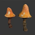 Two Orange Mushrooms With White Spots And Stems On Dark Background