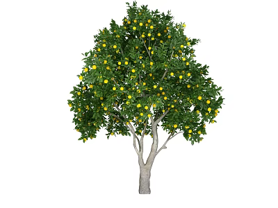 Lush Tree with Green Leaves and Yellow Fruits in Healthy Natural Growth 3d model