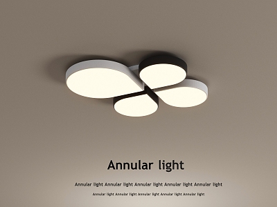 Special-shaped ceiling lamp 3d model