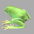 Realistic 3D Rendering of Green Frog with Yellow Toes and Black Eyes on Gray Background