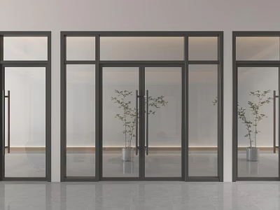Contemporary Glass Doors With Dark Frames Transparent Panels And Indoor Plants 3d model