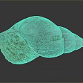 Detailed Structure Of Animal Organs And Natural Hair Fibers In Biological Study