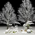 Snow Covered Trees With Small Plants And Stones In Winter Scene