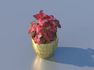 Decorative Indoor Potted Plant With Golden Pot And Red Pink Leaves 3d model