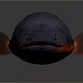 Elongated Black Deep Sea Animal With Spots And Glowing Red Head Feature