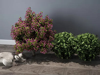 Pink Flowering Shrub And Green Shrubs On Wooden Floor With Stones 3d model