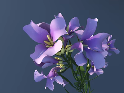 Vibrant Purple Flowers With Large Petals And Green Stems On Dark Background 3d model