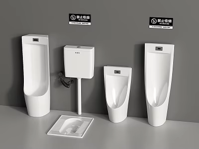 Different Types of White Bathroom Urinals Including Tank Type Standing and Wall Models 3d model
