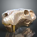 Feline Animal Skull With Metallic Golden Silver Surface And Visible Teeth Eye Sockets
