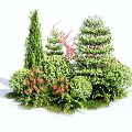 Various Green Flowering Shrubs With Vibrant Red Blooms In Garden Landscaping Design