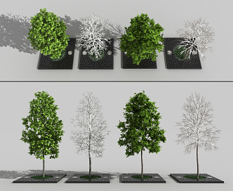 The Modern Tree 3d model