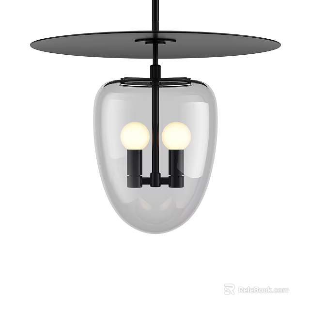 Modern Pendant Light Design With Transparent Glass Shade Two Bulbs And Black Frame 3d model 