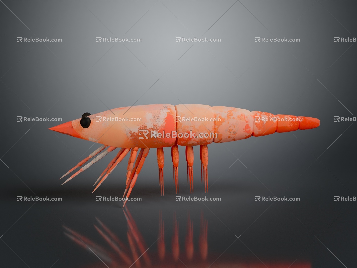 Macrobrachium prawn black and white lobster crayfish crayfish green lobster red crab shrimp European blue dragon American red dragon 3d model