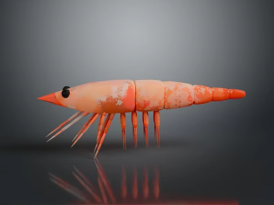 3D Orange Shrimp Model With Black Eyes Long Antennae Multiple Legs Gray Background Showing Reflection 3d model