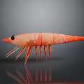 3D Orange Shrimp Model With Black Eyes Long Antennae Multiple Legs Gray Background Showing Reflection