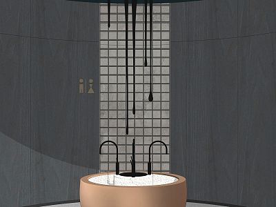 Modern toilet model