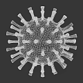 Medical Device Showcasing 3D Virus Structure Model for Research and Education 3d model