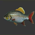 Shiny Scaled Red Fish Decorative Household Ornament With Orange Tail And Reflective Finish