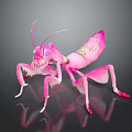 Pink Mantis Figurine With Long Antennae Transparent Wings And Reflective Surface