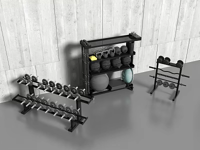 Sports Equipment Collection With Dumbbell Rack Medicine Ball and Multi Tier Storage 3d model