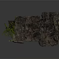 Cave Interior With Stone Walls Green Vines Stalactites And Mossy Floor