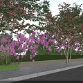 Lush Garden Landscape With Purple Flowering Trees Green Shrubs And Sidewalk Path