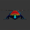 Colorful Iridescent Beetle with Shiny Metallic Exoskeleton and Transparent Wings on Dark Reflective Background
