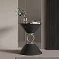 Modern Black Side Table with Circular Silver Base and Decorative Vase Green Plant Books